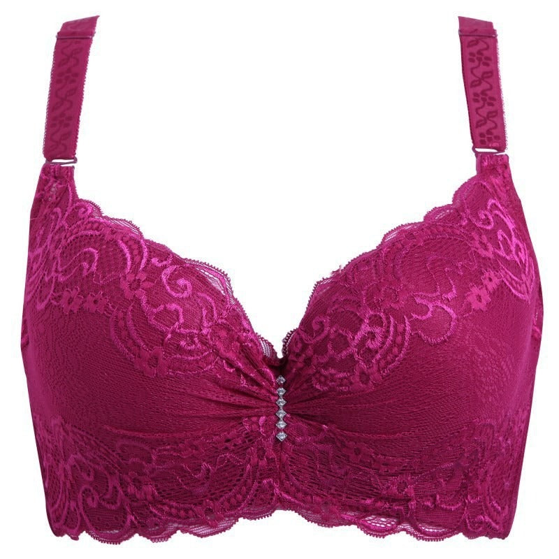 2024 Sexy lace bra CUP SIZE CDE