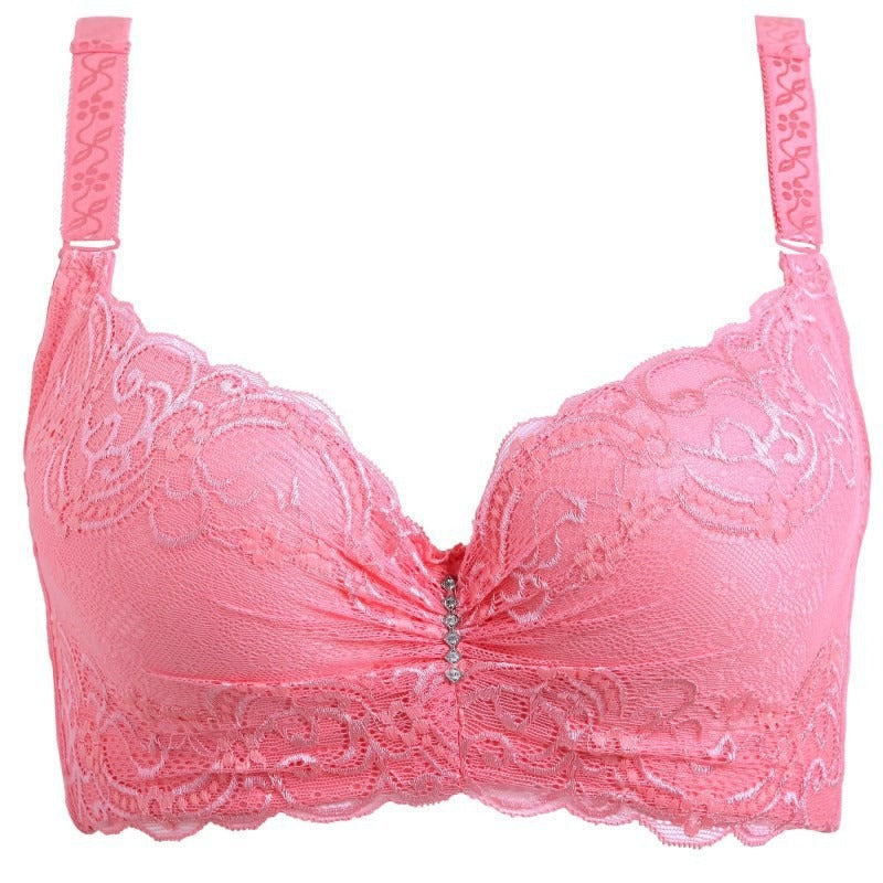 2024 Sexy lace bra CUP SIZE CDE
