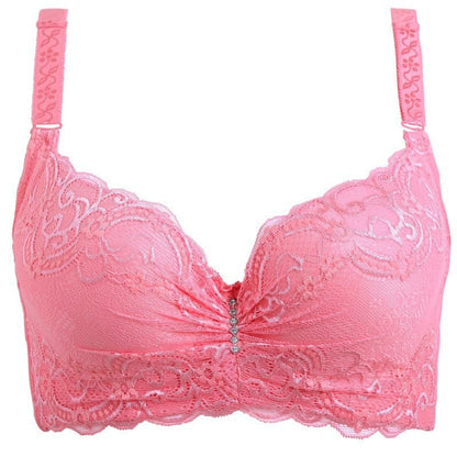 2024 Sexy lace bra CUP SIZE CDE