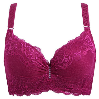 2024 Sexy lace bra CUP SIZE CDE